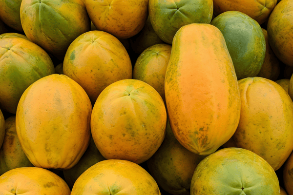 Papaya